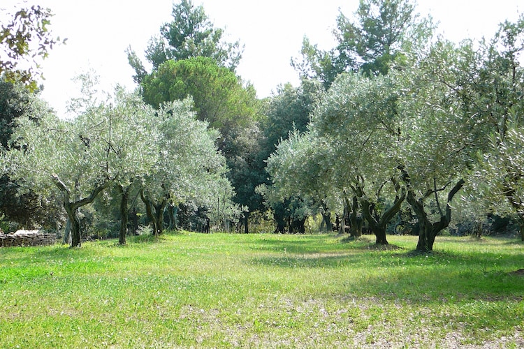 Ferienhaus Souleiado (59029), L'Isle sur la Sorgue, Vaucluse, Provence - Alpen - Côte d'Azur, Frankreich, Bild 17