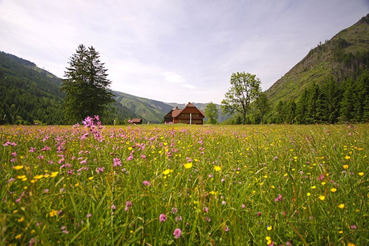 Ferienhaus Troadkasten (65849), Donnersbachwald, Schladming-Dachstein, Steiermark, Österreich, Bild 23