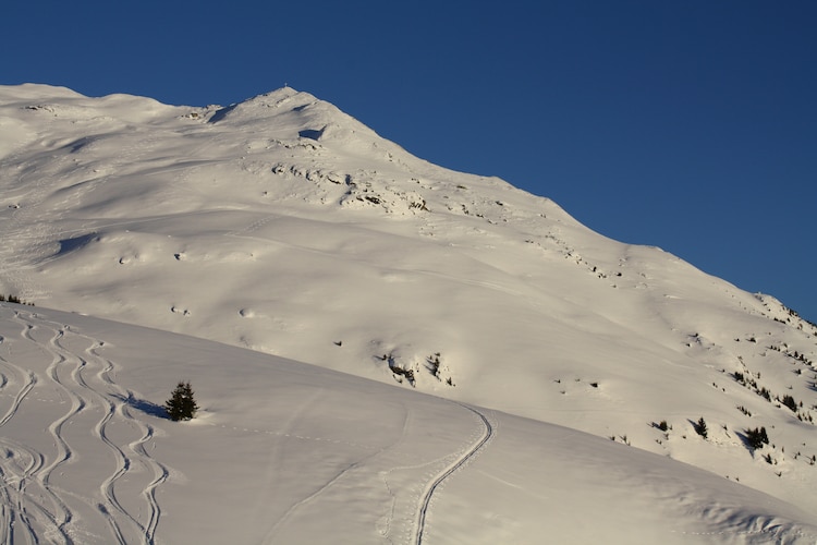 L'aiguille du Mey - Area - Winter