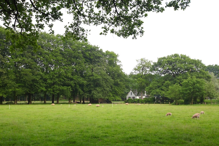 Ferienhaus Bospark de Schaapskooi (321214), Wissel, , Gelderland, Niederlande, Bild 22