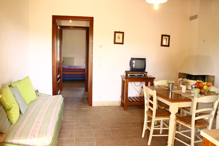 Ferienwohnung Olivi della Collina (93657), Palaia, Pisa, Toskana, Italien, Bild 8