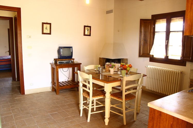 Ferienwohnung Olivi della Collina (93657), Palaia, Pisa, Toskana, Italien, Bild 10