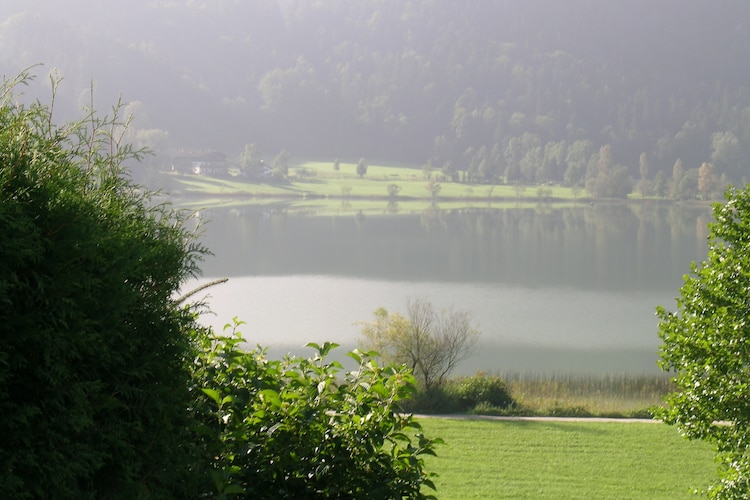 Georg - Area - Summer