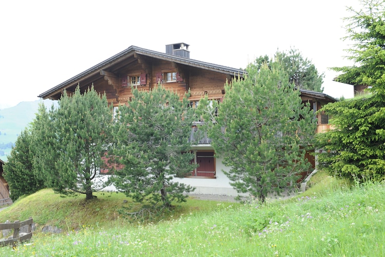 Chalet Bernese Oberland