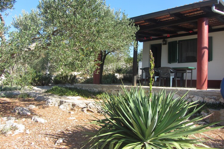 Ferienhaus House Rosemary (90381), Pasman, Insel Pasman, Dalmatien, Kroatien, Bild 27