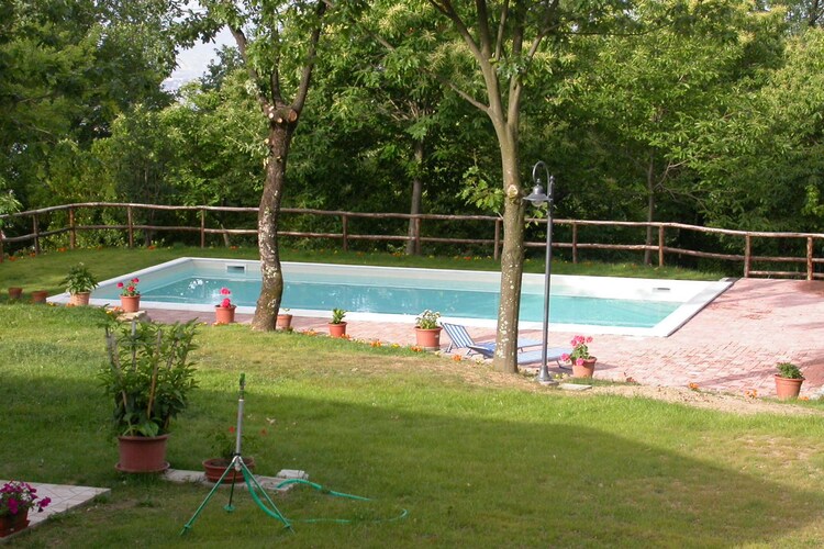 Schwimmbad des Ferienhauses