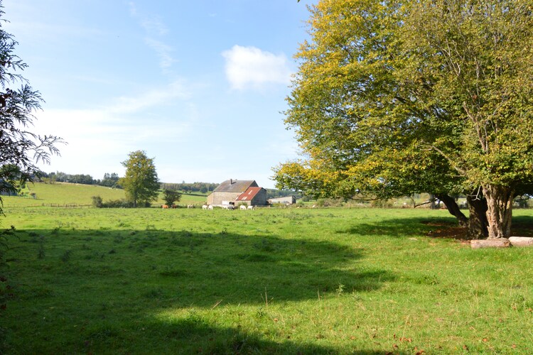 Ferienhaus La Maison du Notaire (122314), Tavigny, Luxemburg (BE), Wallonien, Belgien, Bild 33