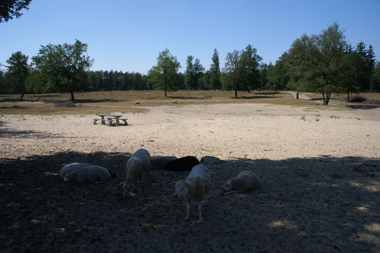 Ferienhaus Onder de Eiken (133769), Diever, , Drenthe, Niederlande, Bild 34