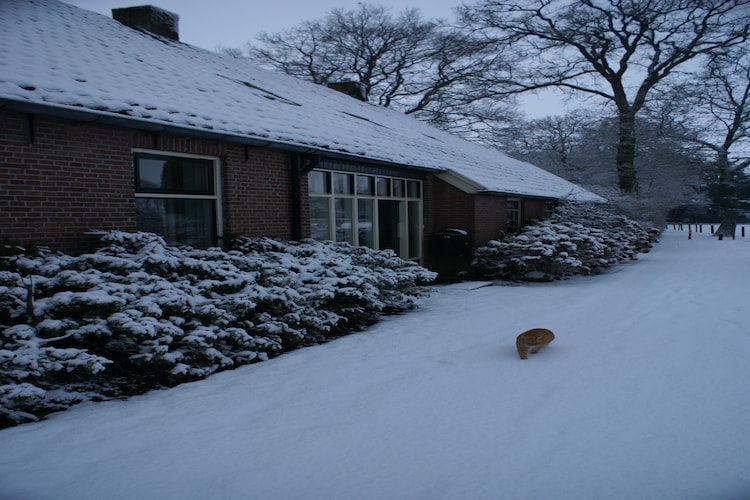 Ferienhaus Onder de Eiken (133769), Diever, , Drenthe, Niederlande, Bild 8