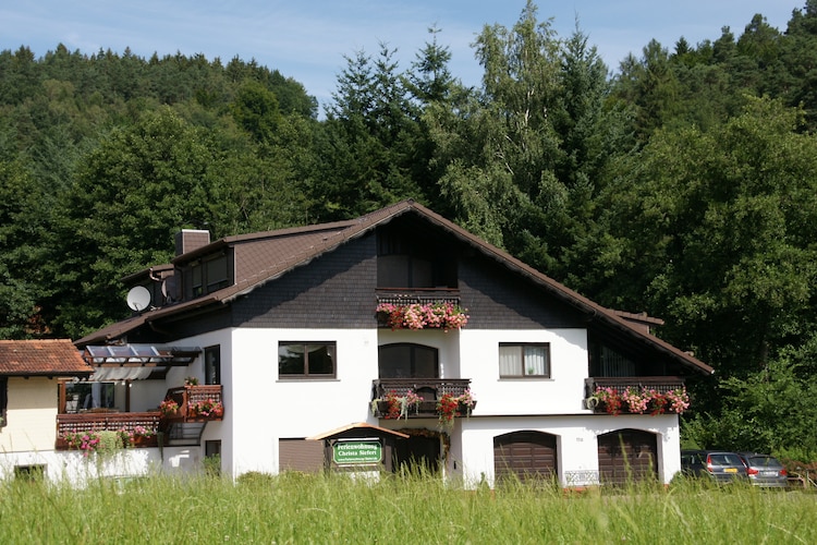 Holiday apartment Mossauthal (134049), Hüttenthal, Odenwald (Hesse), Hesse, Germany, picture 1