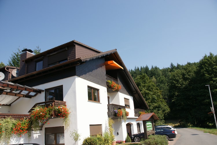 Holiday apartment Mossauthal (134049), Hüttenthal, Odenwald (Hesse), Hesse, Germany, picture 9