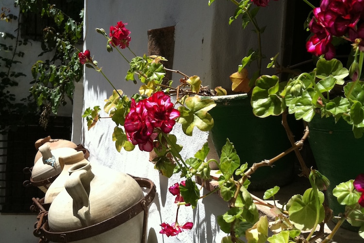 Cottage Andalusia Inland