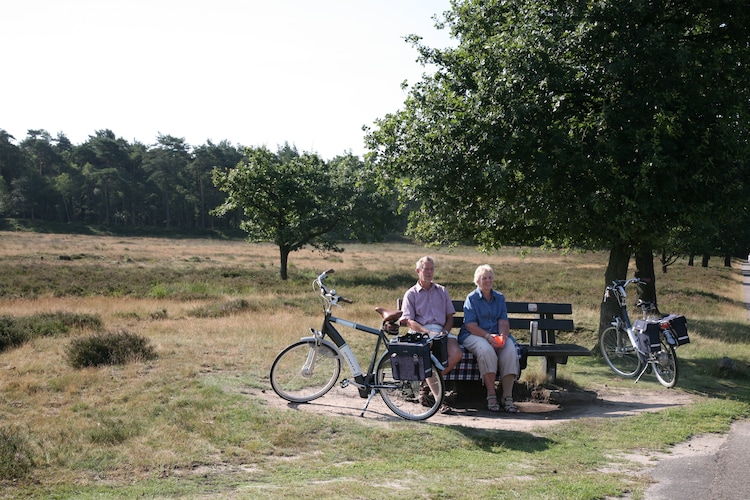 Ferienhaus Landgoed Het Grote Zand (257023), Hooghalen, , Drenthe, Niederlande, Bild 31