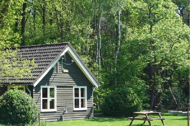 Chalet Overijssel