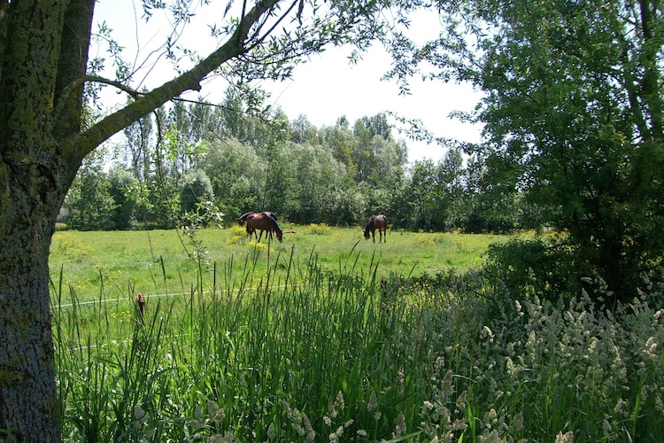 Uitzicht van vakantiehuis (zomer)