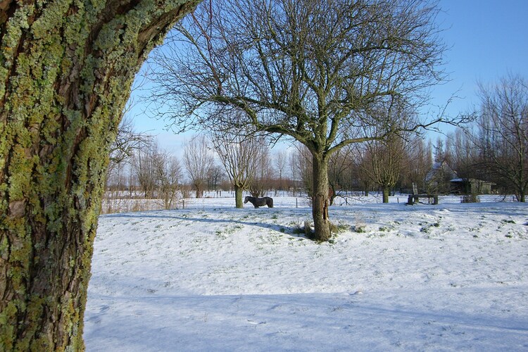 Exterieur vakantiehuis (winter)