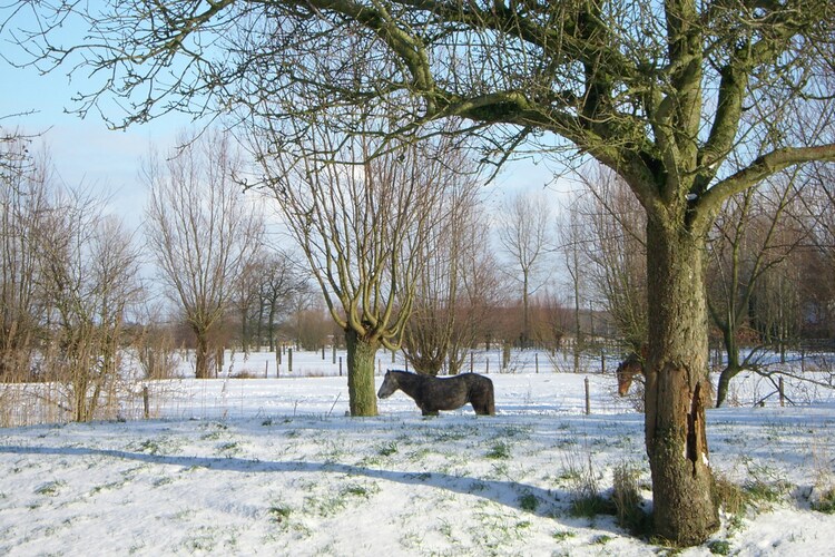 Uitzicht van vakantiehuis (winter)