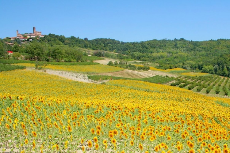 Ferienwohnung Girasoli (177995), Gabiano, Alessandria, Piemont, Italien, Bild 22