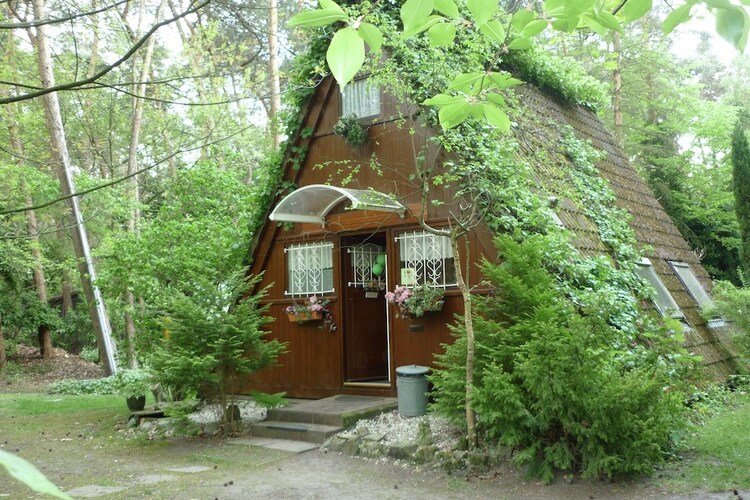 Chalet Antwerp