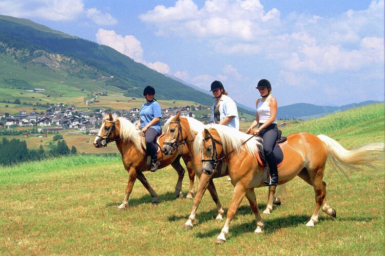 Umgebung (Sommer) (1-5 km)