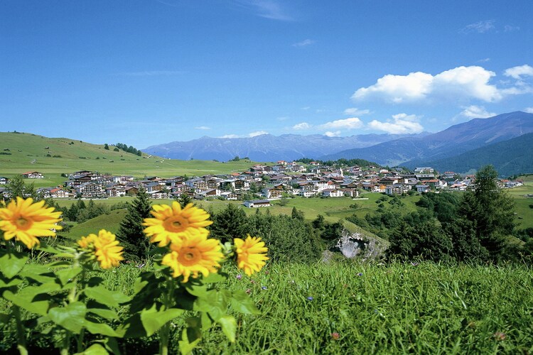 Direkte Umgebung (Sommer) (<1 km)