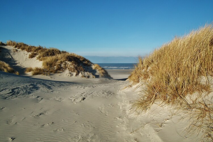 Ferienhaus Fostaland (76183), Ballum, Ameland, Friesland (NL), Niederlande, Bild 14