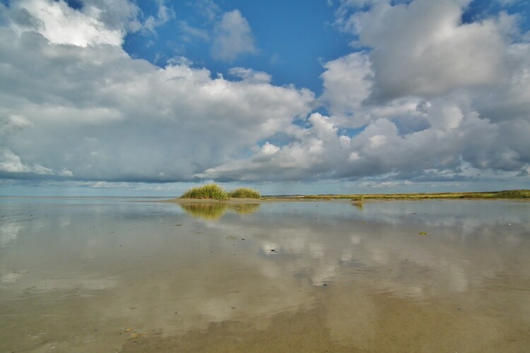 Ferienhaus Fostaland (76183), Ballum, Ameland, Friesland (NL), Niederlande, Bild 18