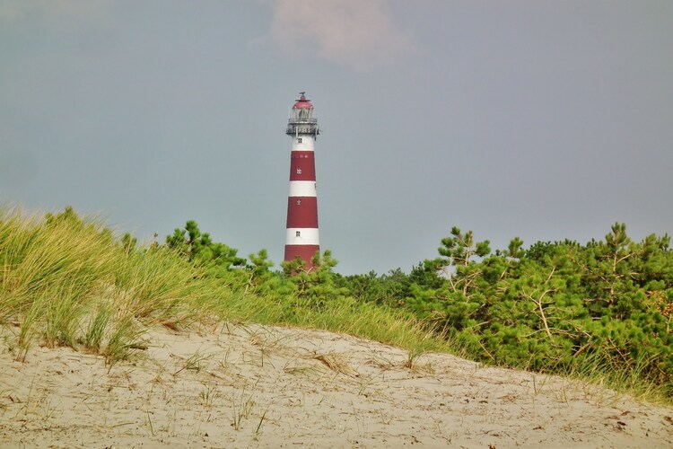 Ferienhaus Fostaland (76183), Ballum, Ameland, Friesland (NL), Niederlande, Bild 19