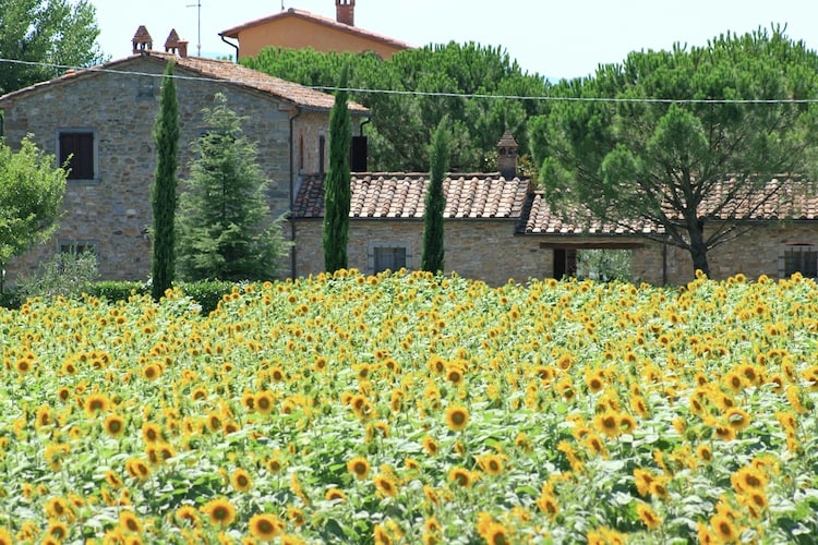 Farmhouse Tuscany Elba