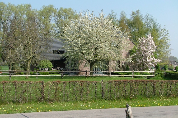 Apartment East Flanders