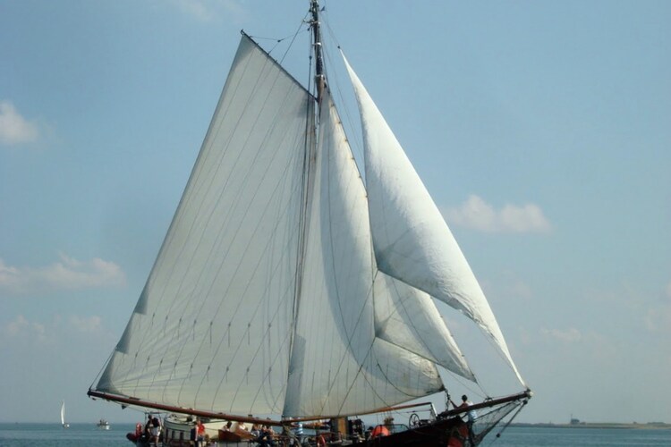 Boat Zealand