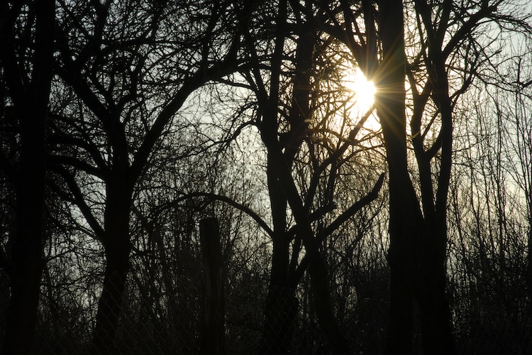 Hegyház - Area - Winter