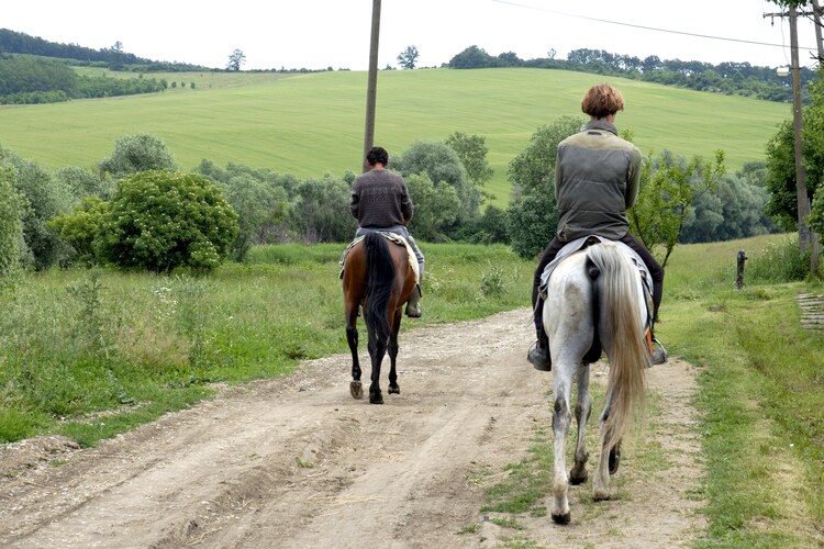 Hegyház - Area - Summer