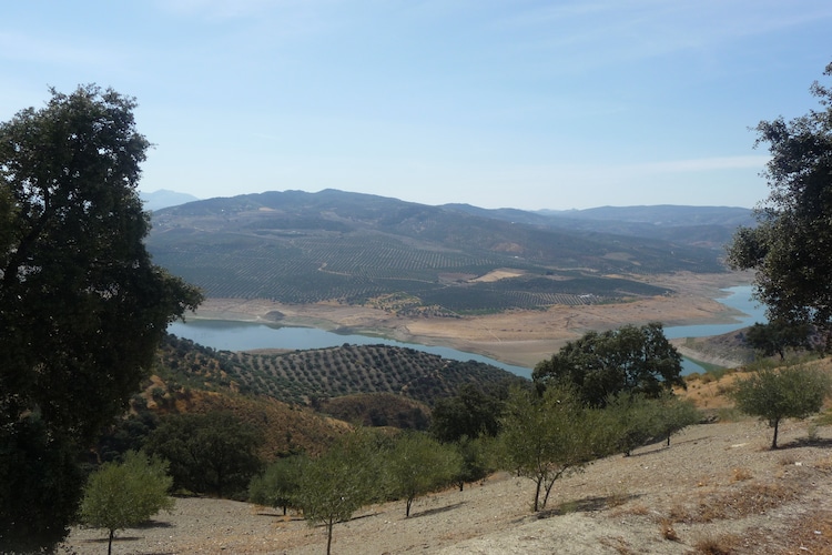 Ferienhaus Cortijo El Morron (302290), Fuentes de Cesna, Granada, Andalusien, Spanien, Bild 18