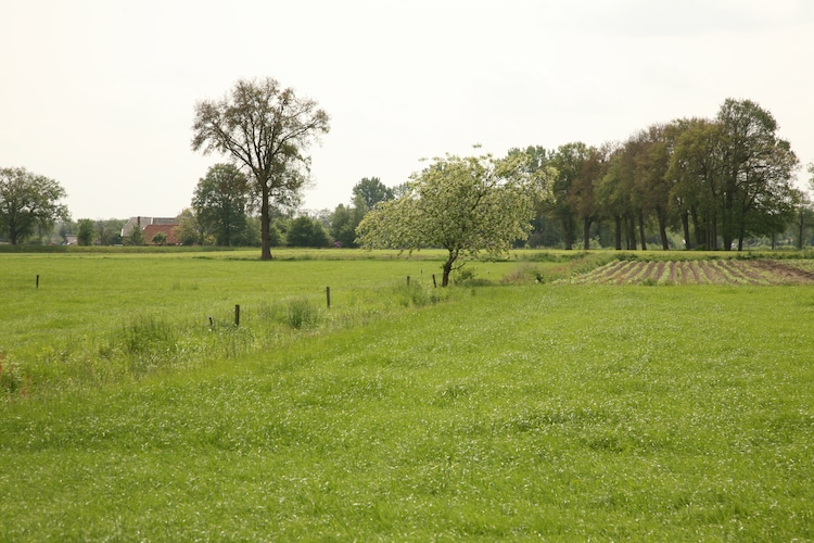 Ferienhaus 't Achterhoes (185815), Neede, , Gelderland, Niederlande, Bild 37