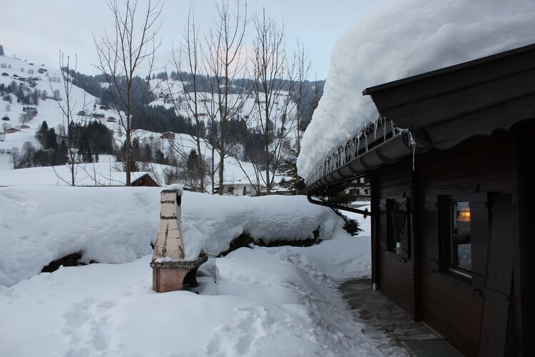 Jolles - Garden - Winter