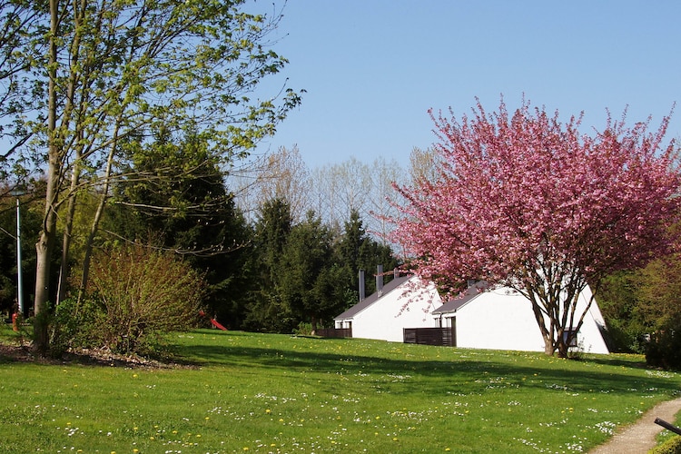 Bungalow Namur
