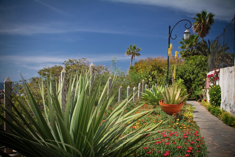 Apartment Canary Islands