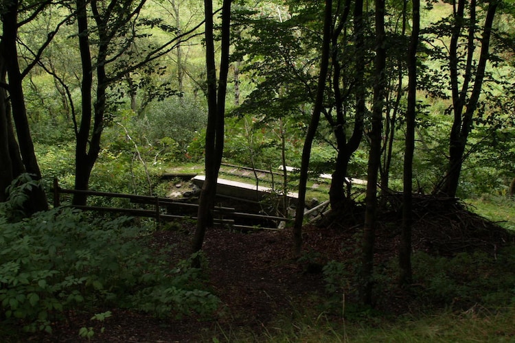 Ferienhaus Im Wiesengrund (225113), Hildfeld, Sauerland, Nordrhein-Westfalen, Deutschland, Bild 19