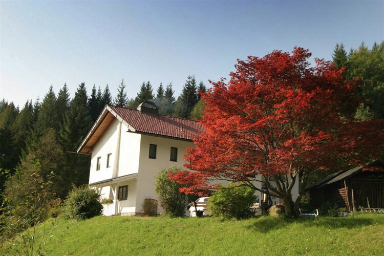 Apartment Carinthia