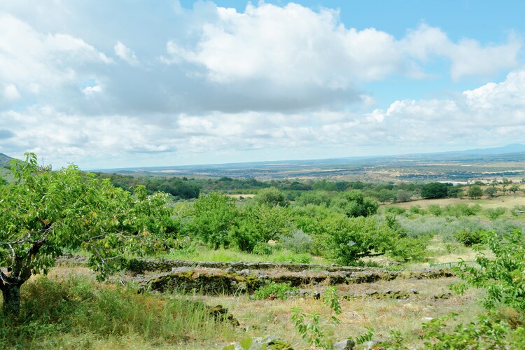 Ferienhaus Casas Rurales Acebuche (236291), Casas del Monte, Caceres, Extremadura, Spanien, Bild 23