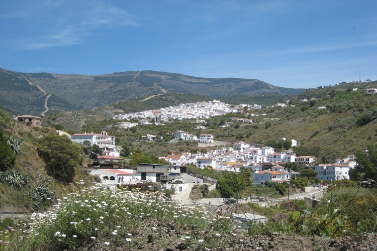 Ferienhaus Villa Las Reinas (253146), Periana, Malaga, Andalusien, Spanien, Bild 18