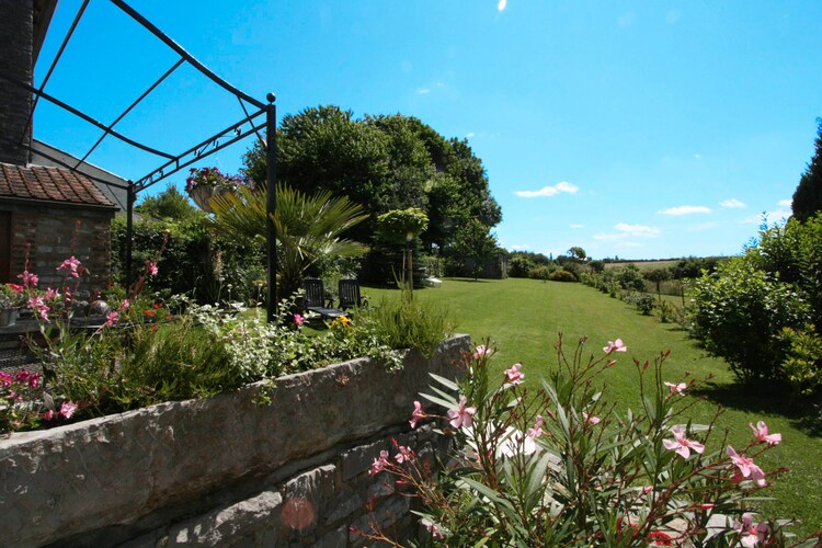 Garten (Sommer)