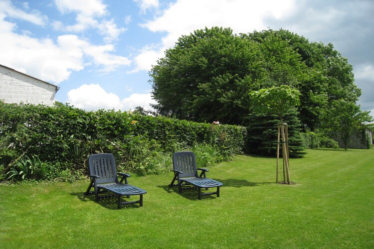 Garten (Sommer)