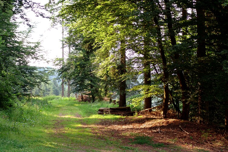 Surroundings (summer) (1-5 km)
