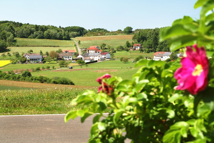 Surroundings (summer) (1-5 km)