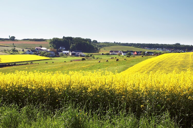 Surroundings (summer) (1-5 km)