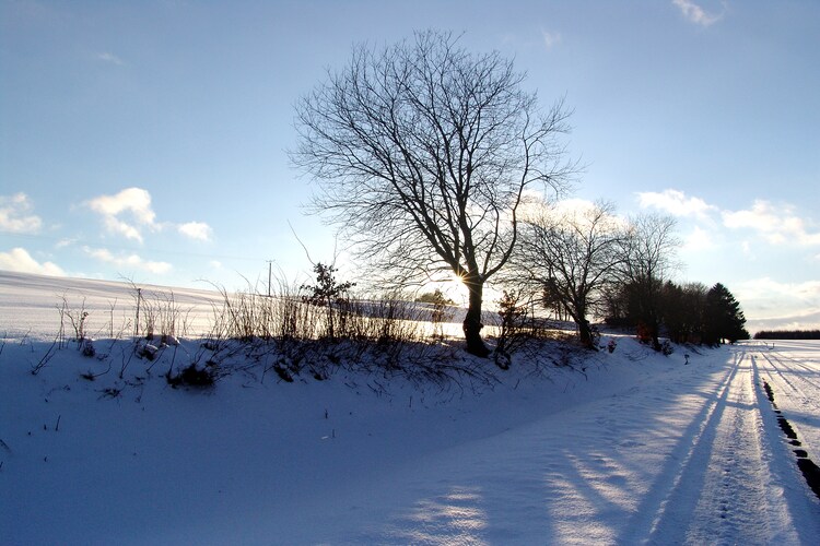 Surroundings (winter) (1-5 km)