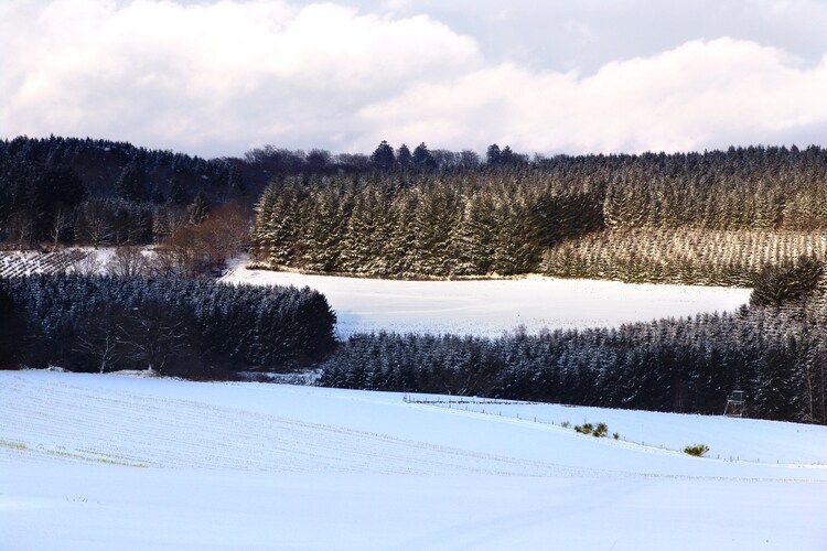 Surroundings (winter) (1-5 km)