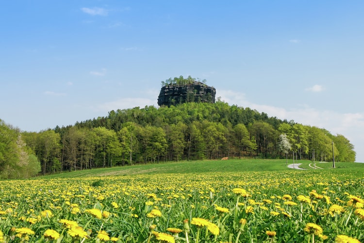 Ferienwohnung Bergblick (277403), Reinhardtsdorf, Sächsische Schweiz, Sachsen, Deutschland, Bild 23